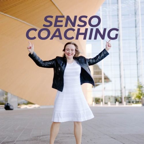 Senso-Profiili johtajan Senso Coaching (Johdon coach Kati)