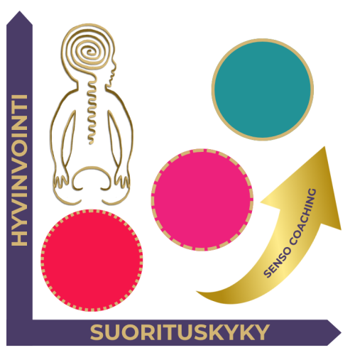 Toiminnallinen neurotiede Senso Coaching hermosto työhyvinvointi työnohjaus tiimi johtamisen valmennus